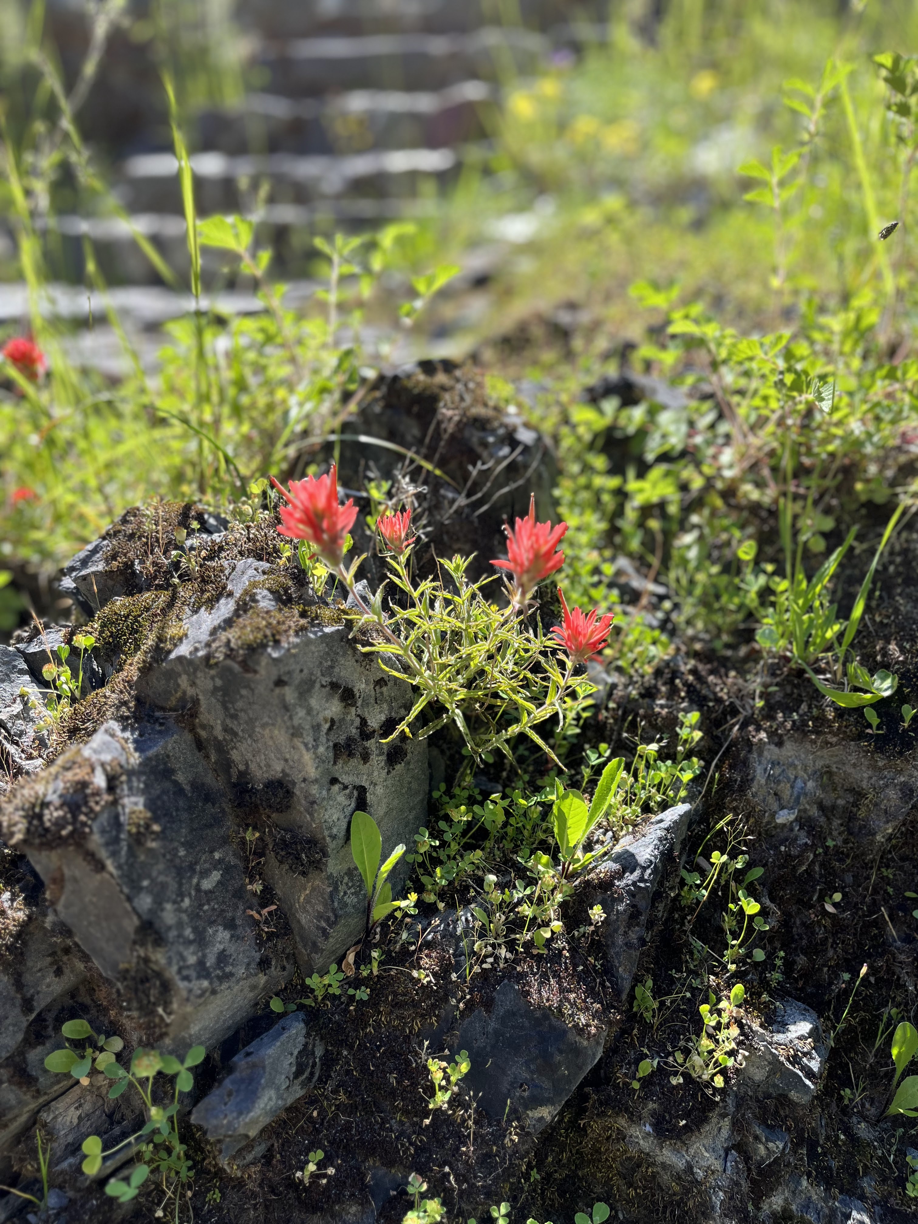 Transformation is not for sissies